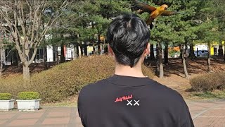 '푸'가 날아갔습니다...하...(썬코뉴어)