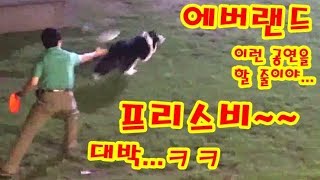 에버랜드 홍금강 앵무새 &quot;방울이&quot; 와…