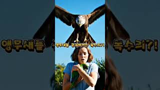 “A fierce battle between a parrot and an eagle.”( 앵무새와 독수리의 혈투)#공감#힐링#치유#본능#감성#사랑#배려