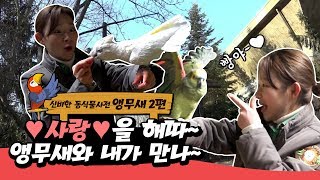 [신비한동식물사전] 새 무섭다던 지명이가 초단시간 앵무새랑 절친된 비결?!