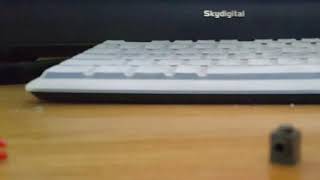 앵무새 변신로봇