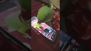 ২০ ফেব্রুয়ারী, ২০২৫