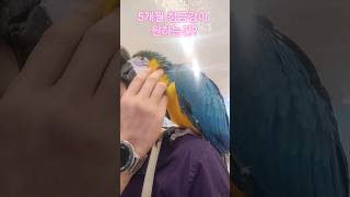 청금강이 원하는건?