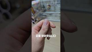 피를 봐버렸습니다.... #앵무새 #코뉴어 #썬코뉴어 …