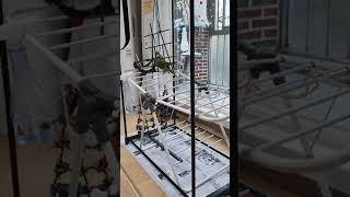 퀘이커 짱구.짱아♡