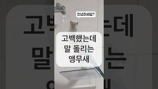 퀘이커앵무새 안녕하세요?!