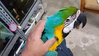 긁 긁 느끼는 청금강 하늘이~~