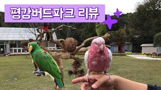 산정호수 평강식물원, 평강버드파크!