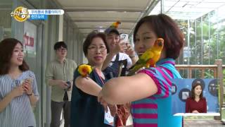 20161025_신라통_썬코뉴어