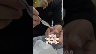 코뉴어 아기앵무새 첫 이유식 먹는 영상~잘먹어요~귀엽~…