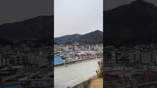 날아라, 앵무새야~~ #Shorts