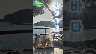 기장바다보며~ #앵무새 #코뉴어#기장여행#바다#늘해랑