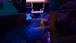 청금강 춤 신났다!