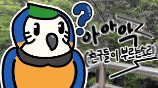 [청금강] 친구들의 부름에 바로 응답하는 도일