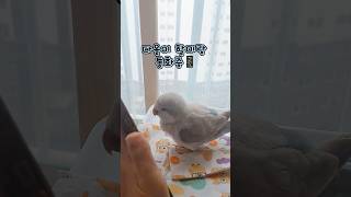 할머니와의 짧은 전화통화지만 인사는 예의바르게!! 꾸벅…