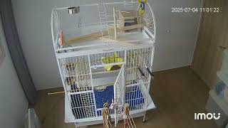 딸기퀘이커 #오늘 하루 에고좋다고