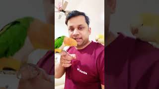 My birds - my most valuable ea…