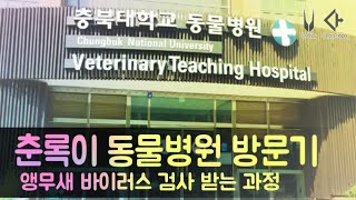 앵무새 동물 병원 방문 시 준비 사항