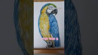 SWC 수채화 물감을 사용한 청금강 앵무 그리기 #shorts