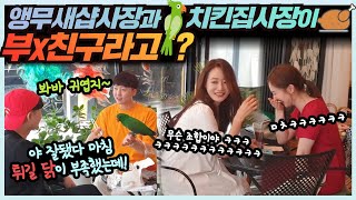 [몰카] 치킨집 사장님과 앵무새샵 사장님이 부랄친구라고…
