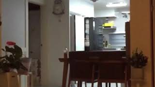 소망이의 날개짓(코뉴어)