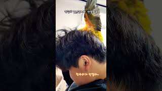 정수리좀 말리자#정수리#눅눅해#뽀송하고싶다 #썬코뉴어 …