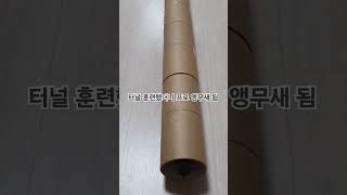 앵무새가 터널 훈련한다고요?ㅋㅋ