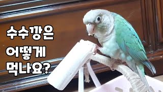 수수깡을 이렇게 뜯는다고? 신기한 연두의 취미!!#코뉴…