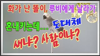 참을만큼참았다~참는것도 한계가 있는거야~가만히 있으니까…