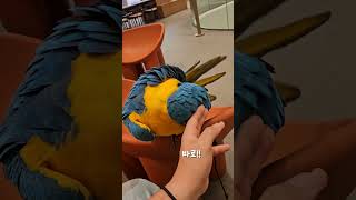 청금강 애교에 녹아보자!