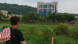 [앵무새 자유비행] 청금강 시월이 대전만년교