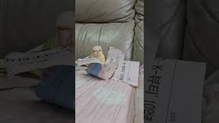 럭키는 스트레스 해소중#conure #parrot #mooncheek #코뉴어 #앵무새 #문칙 #럭키 #반려조 #아기새 #stressless