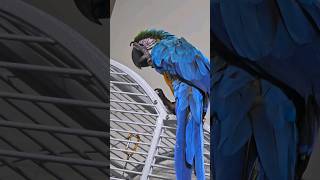 잠이오는 청금강 청일이