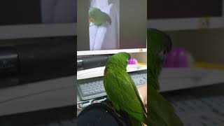 수는 머하구이쓸까