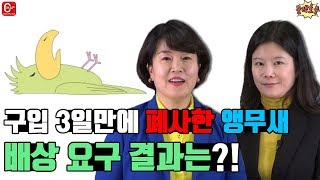 분쟁호투 #31 - 구입3일만에 폐사한 앵무새, 배상 …