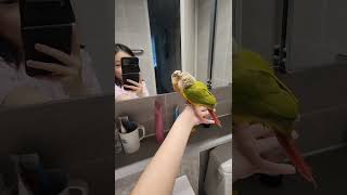 그거 너야… 那是你。