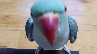 이렇게 애교많은 목도리 보셨나요?