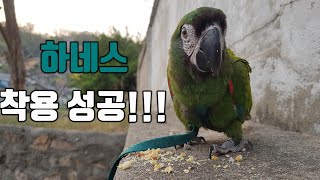 하네스 그까이거 대~~~충~~~