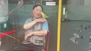 부천상가.앵무새. 주인아저씨. 애완앵무새 말 잘듣는 앵무새.