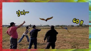 행복한 만남 그리고 자유비행 마음껏 날자~ 얘들아~