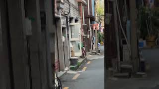 골목에서 비행해도 잘 오는 겨울가을 | 골목어딘가 | …