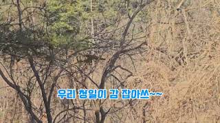 청금강 청일이 직하강