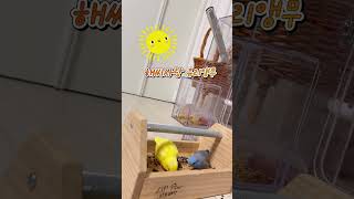 퀘이커와 유리앵무 잘 지낼수 없을까