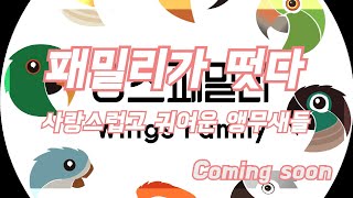 앵무새 패밀리가 떳다~