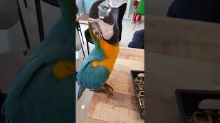 더워요 더워 청금강하늘이