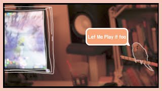 집에서 키우기 좋은 동물. 인기많은 반려동물. 매력모음…