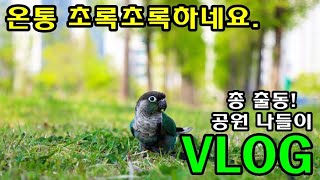 앵무새_공원으로 총 출동!