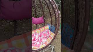 #코카투 #앵무새 #뉴기니아 #청금강 #앵무새총집합 #…