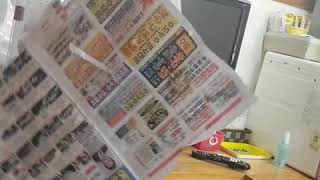 갈라코카투   딸기