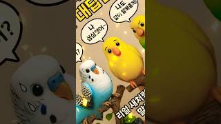 앵무새우울증극복하기#모형앵무새#피규어#녹음 #키덜트#따…